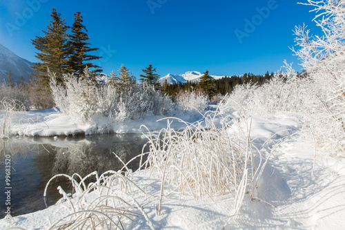 Winterszene an den Vermilion Lakes in Kanada photo