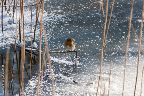 All things Winter photo