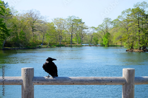 Onuma Quasi-National Park