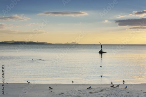 Seagulls on Silgar beach at sunset