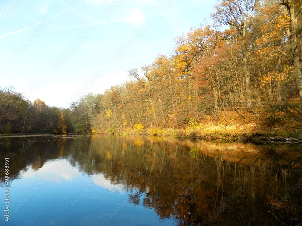 Lake with reflection and forest in autumn