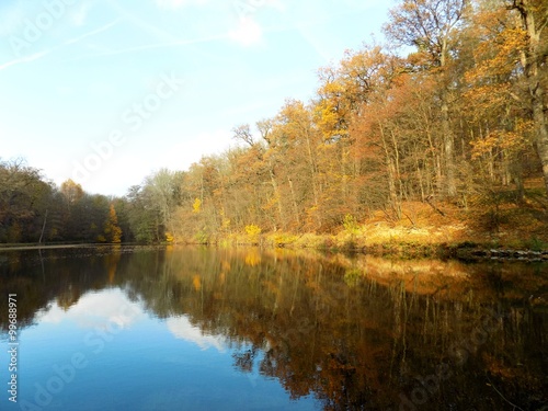 Lake with reflection and forest in autumn