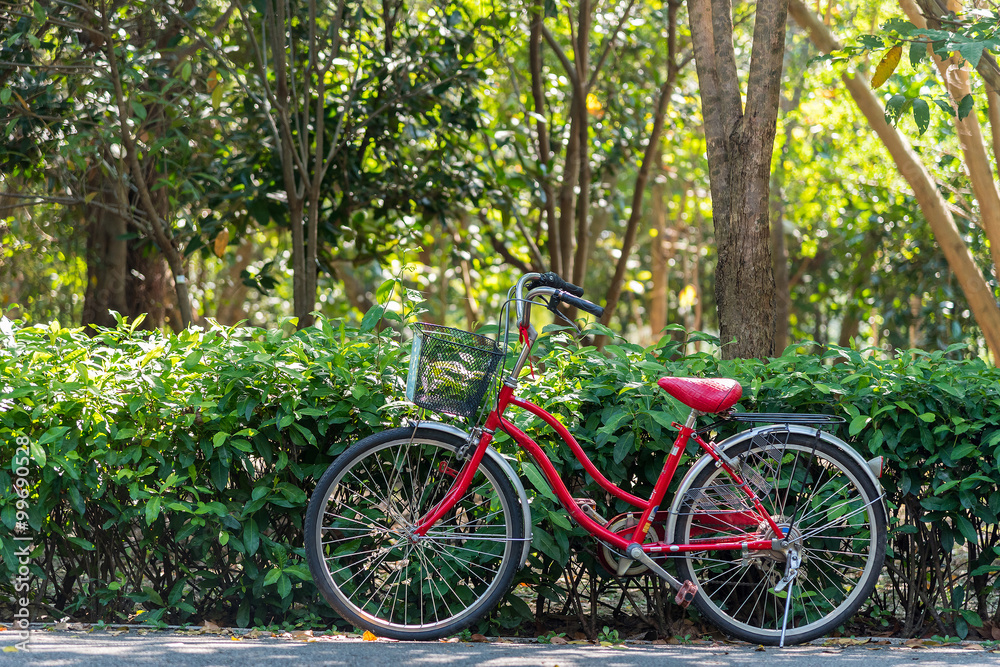 Red bicycle standing in park