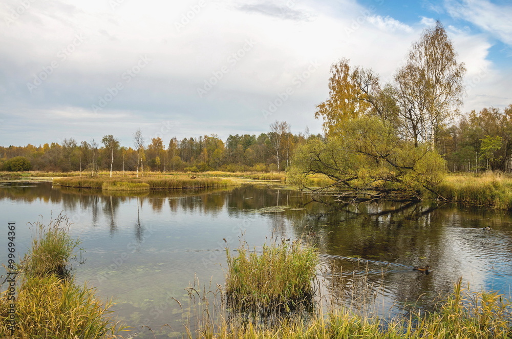 The river Gatchinka