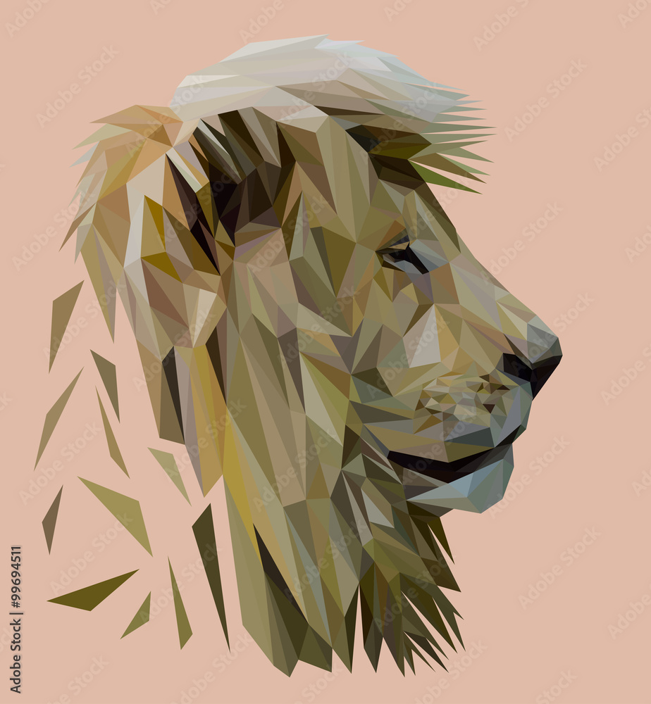 Obraz premium Lion low poly design. Triangle vector illustration.