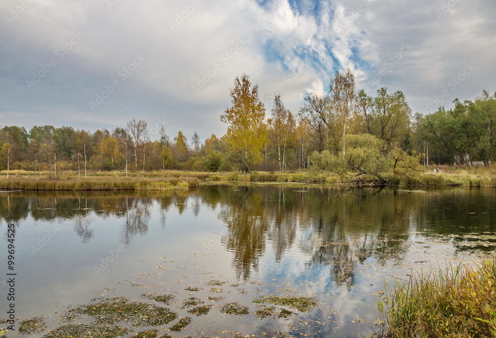 Obraz premium The river Gatchinka