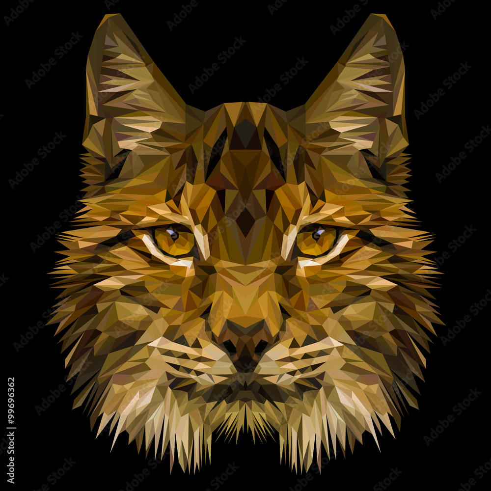 Naklejka premium Lynx cat animal low poly design. Triangle vector illustration.