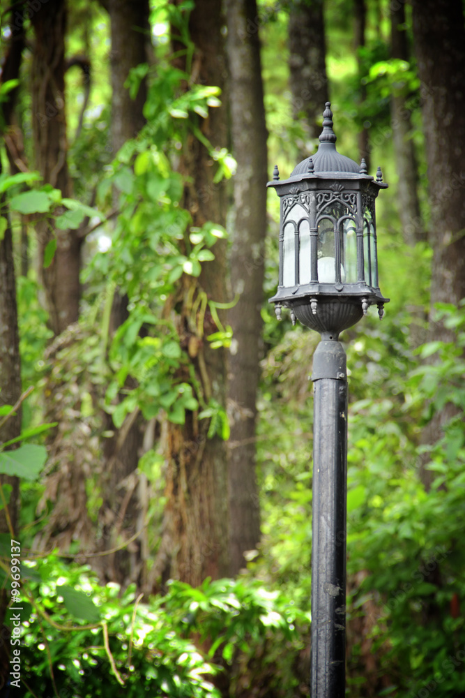 Lamp post in a forest
