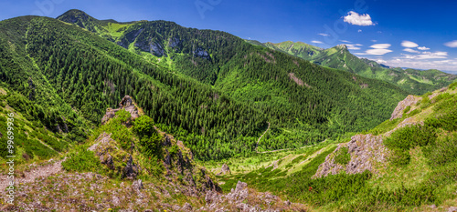 Panorama of the valley in Tatras mountain