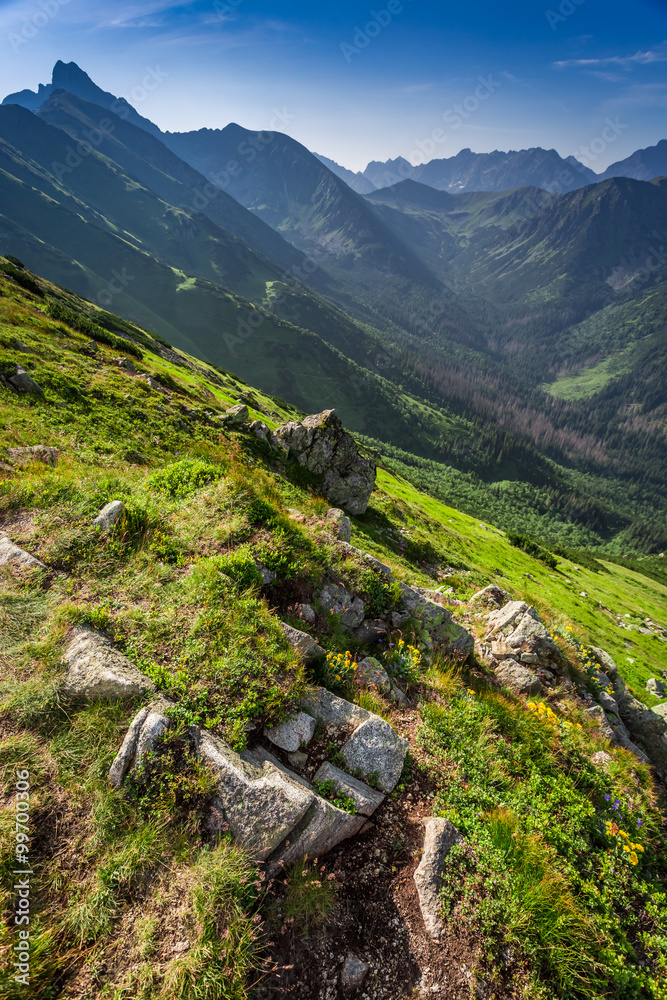Dawn in the mountains in summer Dawn in the mountains in summer