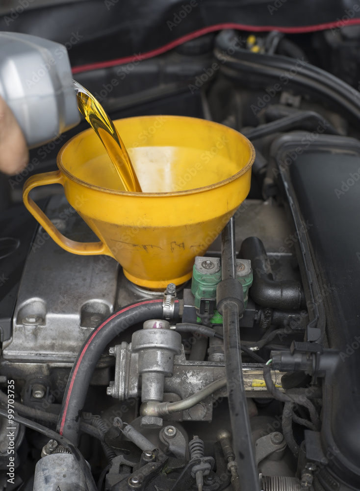 Car servicing mechanic pouring lubricant oil to engine.
