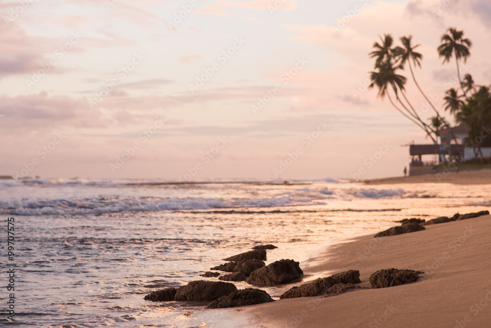 stones on the beach at sunset in Sri Lanka stones on the beach at sunset in Sri Lanka