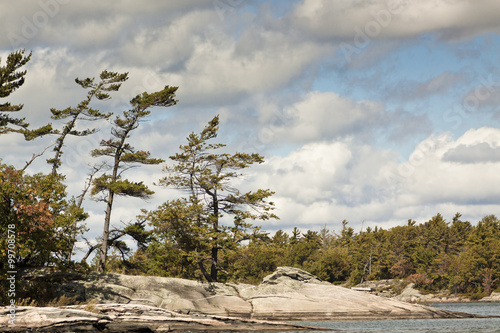 Obraz na plátne windblown trees on rocky island in canada's great lakes region