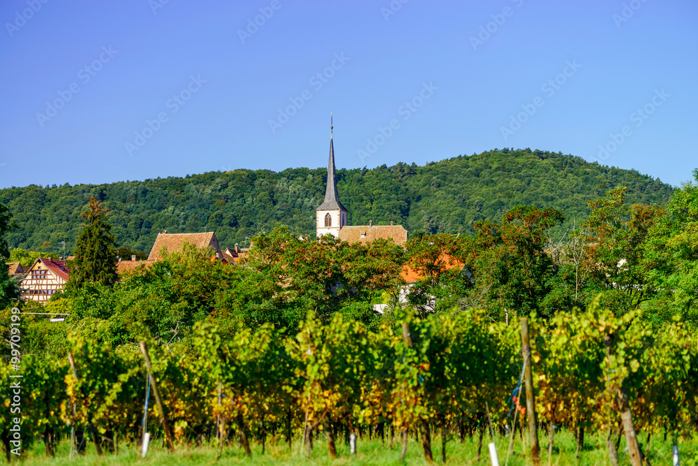 Beautiful alsacien autumnal landscape with green hills and viney