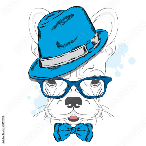French Bulldog vector. Cartoon puppy. A dog in a hat and sunglasses. Cute puppy. Hipster. Boy. Pedigree dog.