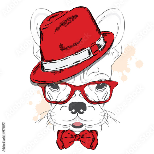 French Bulldog vector. Cartoon puppy. A dog in a hat and sunglasses. Cute puppy. Hipster. Boy. Pedigree dog.