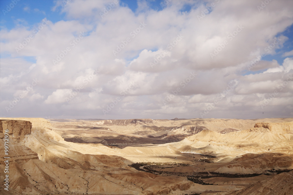 Desert Landscape