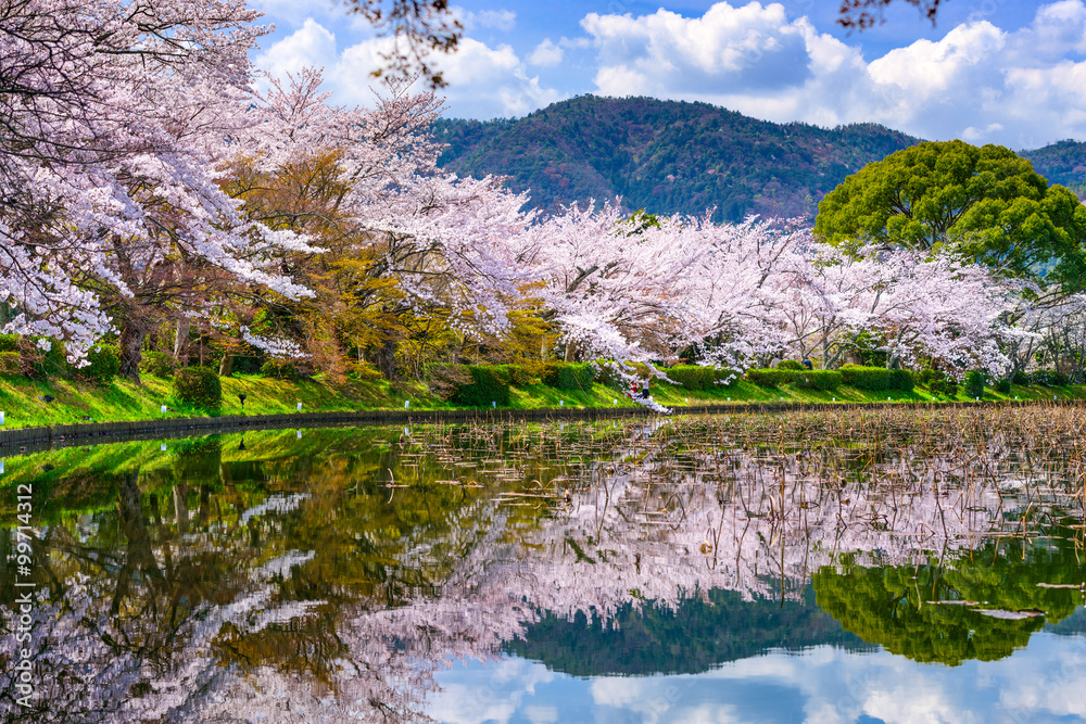 Fototapeta premium Kyoto Garden