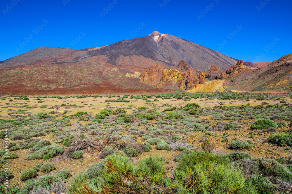 El Teide National Park, Tenerife, Canary Islands, Spain
