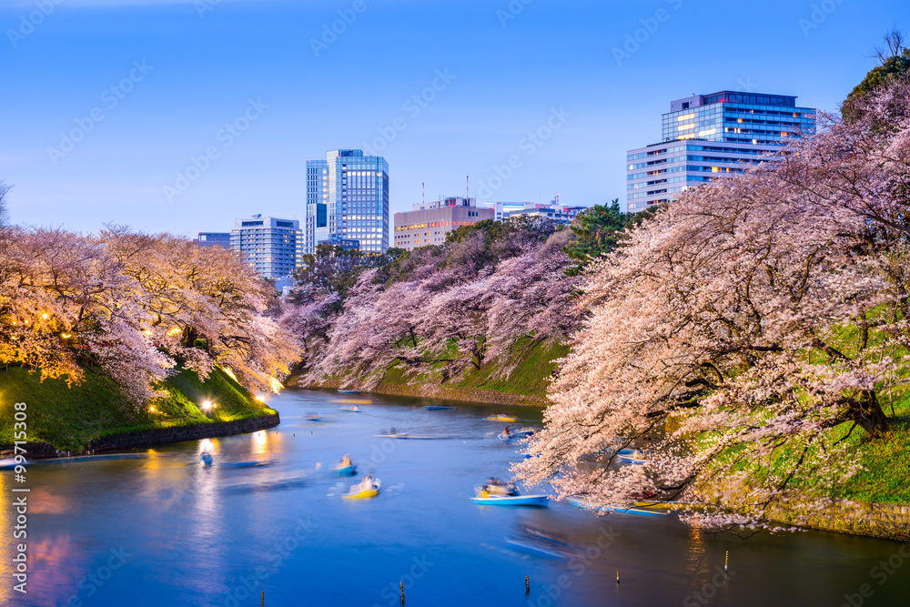 Naklejka premium Tokyo Imperial Moat na wiosnę