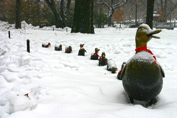 Stock image of a snowing winter at Boston, Massachusetts, USA..
