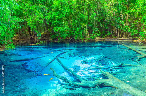 forest Blue Pool Krabi Province  Thailand