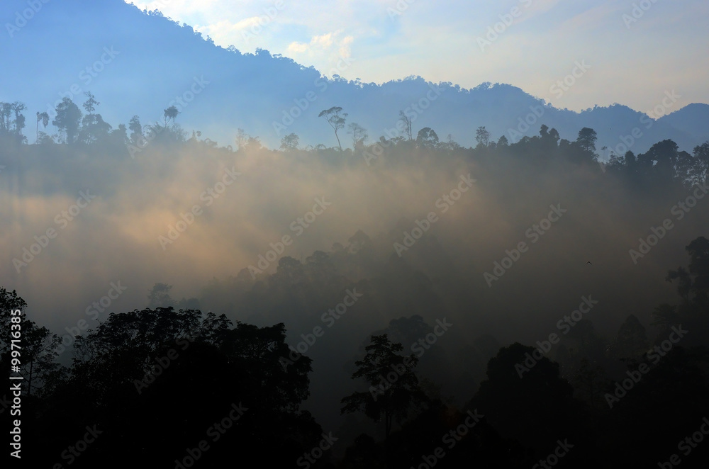 Obraz premium Foggy time..