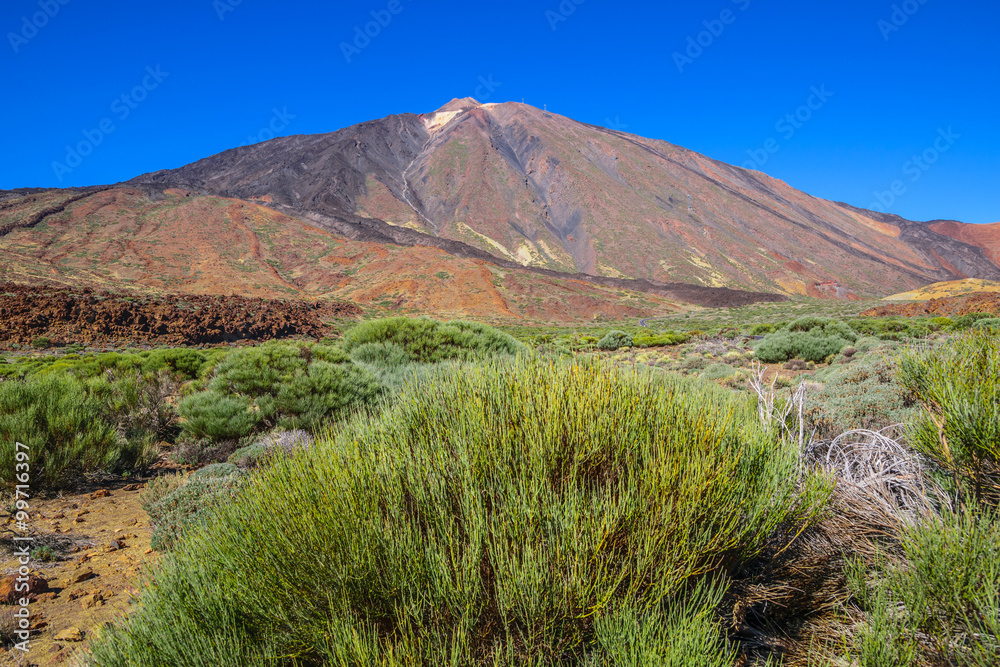 El Teide National Park, Tenerife, Canary Islands, Spain