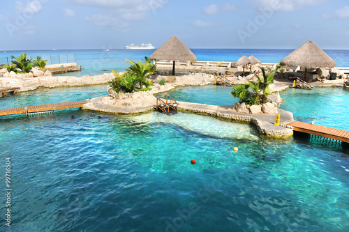 Dolphin Pools in Cozumel Mexico photo