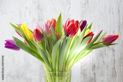 Tulips on the grey background.