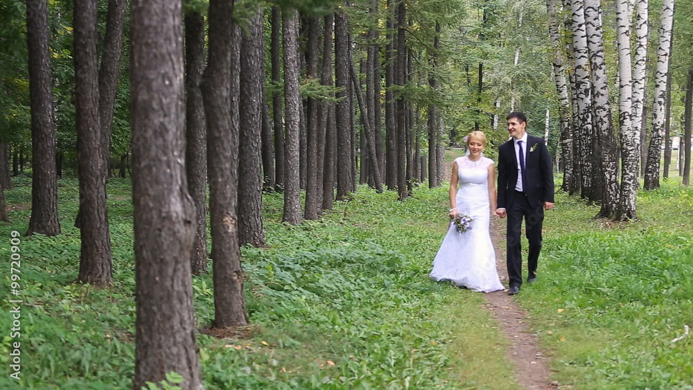 Wedding couple taking a walk in the park. Wedding couple taking a walk in the park.