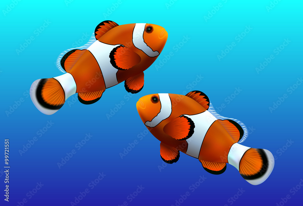 Naklejka premium Clown fish on blue background