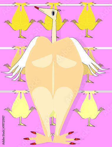 Matadero de aves