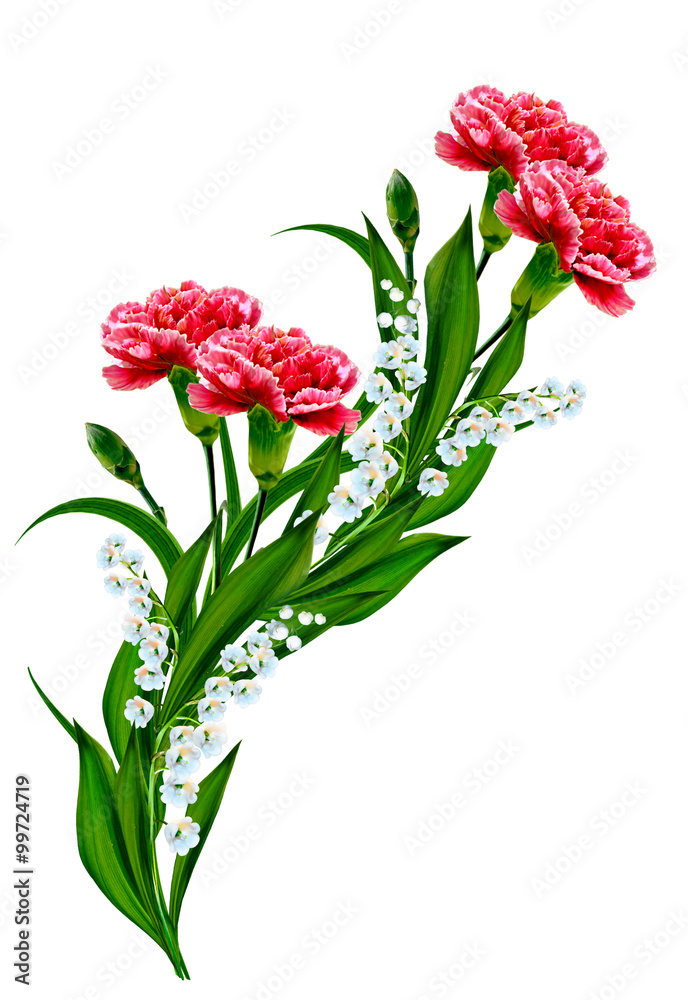 Bouquet of flowers carnation. Flowers isolated on white backgrou Bouquet of flowers carnation. Flowers isolated on white backgrou