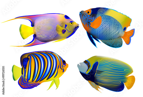 Set of tropical fishes, vector illustration