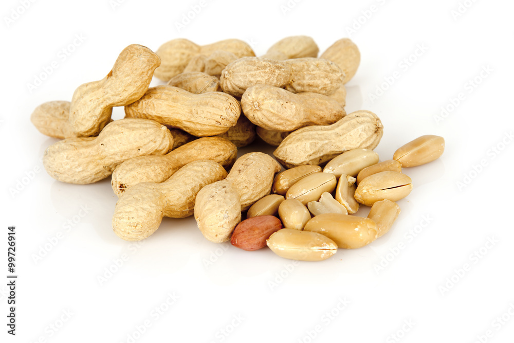peanuts on a white background with shell peanuts on a white background with shell