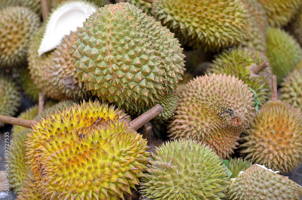 Group of durian in the market... Group of durian in the market...