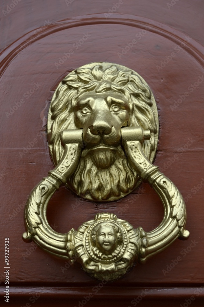 Golden lion knocker on a brown door