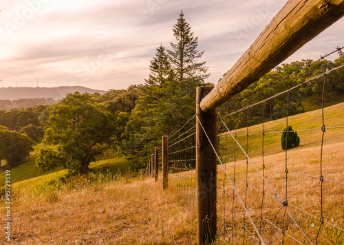 Wooden pole wired fence paddock agricultural rural landscape