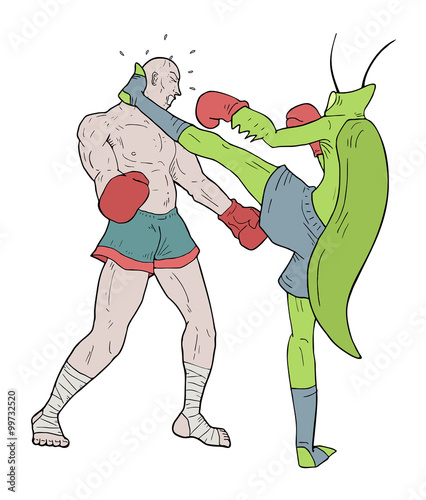 muay thai kick