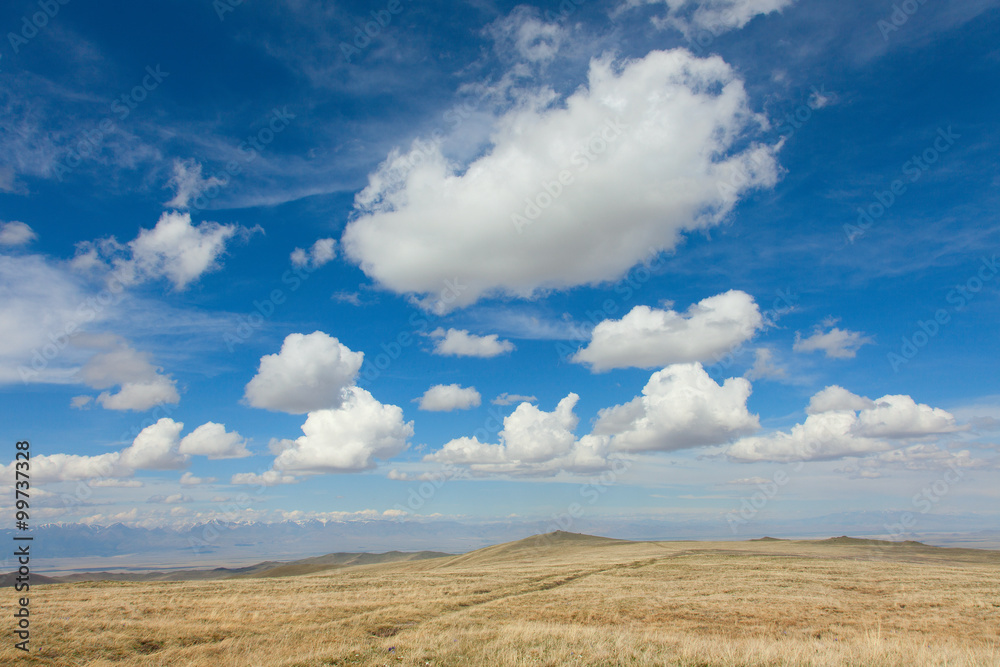 The alpine steppe in the mountains of central Asia