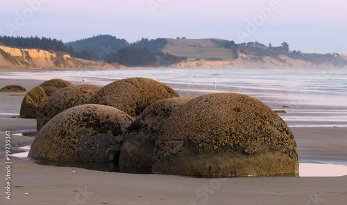 Photo Giant boulders on the ocean shore an sunrise, Moeraki Boulders,
