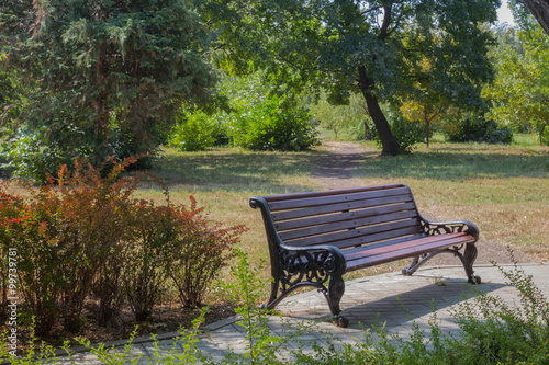 Bench near flowerbed in the park