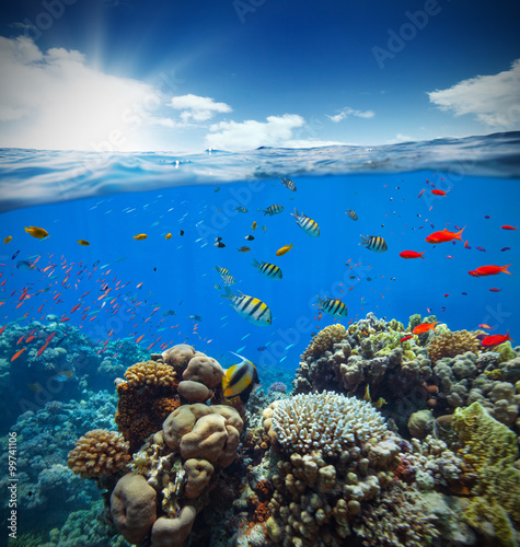 Fototapeta Naklejka Na Ścianę i Meble -  Underwater coral reef with horizon and water waves