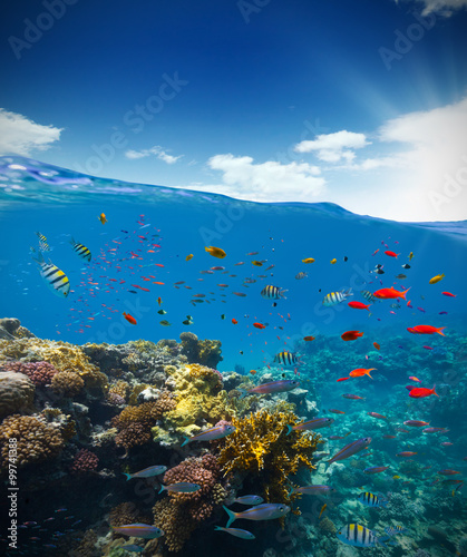 Fototapeta Naklejka Na Ścianę i Meble -  Underwater coral reef with horizon and water waves