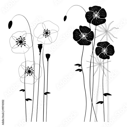 Fototapeta Naklejka Na Ścianę i Meble -  Set of wild plants, poppies and dandelions - vector illustration