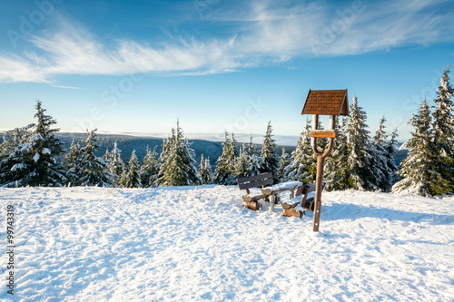 Thüringer Wald - Schneekopf photo