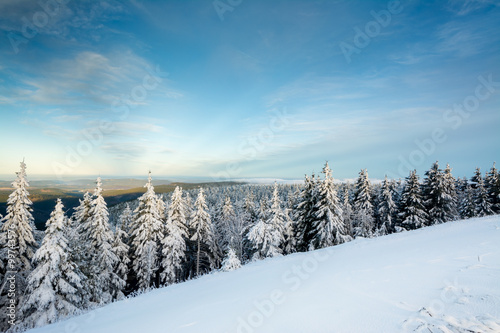 Thüringer Wald - Schneekopf