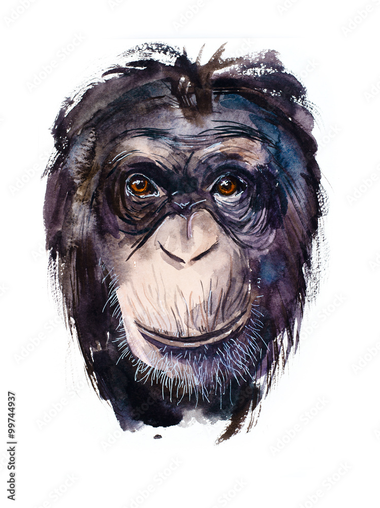 Funny monkey. Watercolor hand drawn illustration Funny monkey. Watercolor hand drawn illustration
