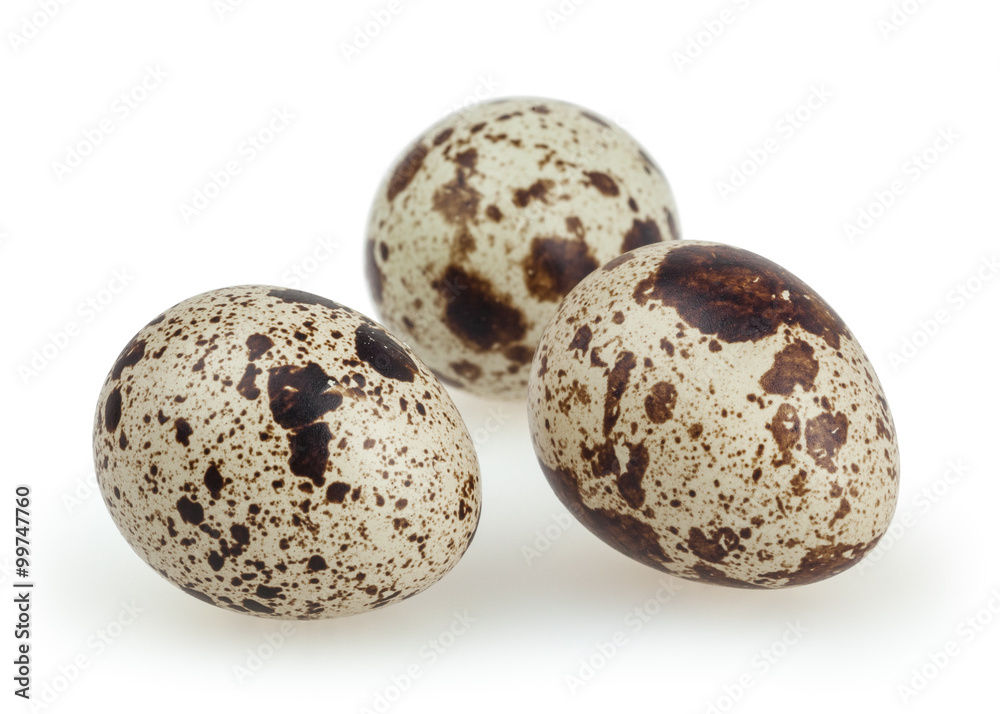 Quail eggs isolated on white background with clipping path Quail eggs isolated on white background with clipping path